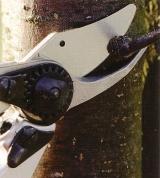 Rebscheren, Astscheren