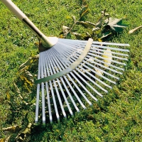 Laubbesen unverstellbar, Profi