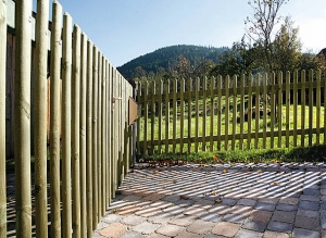 Senkrechtzaun, Kiefer/Fichte kdi.