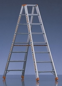 Layher Stufen Stehleiter, beidseitig begehbar