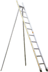 Baumleiter als Stützleiter